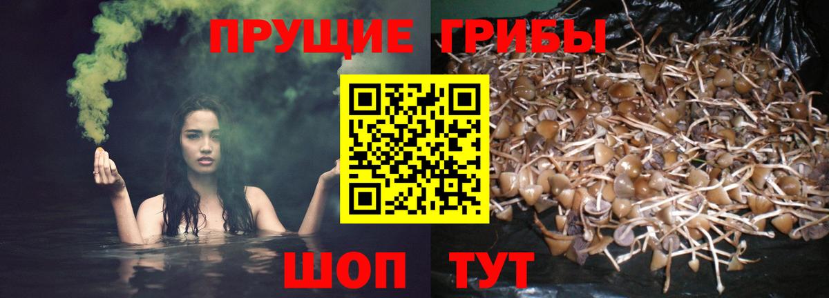 Псилоцибиновые грибы ЛСД  Вход с VPN  Елец 